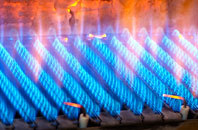 Stalisfield Green gas fired boilers